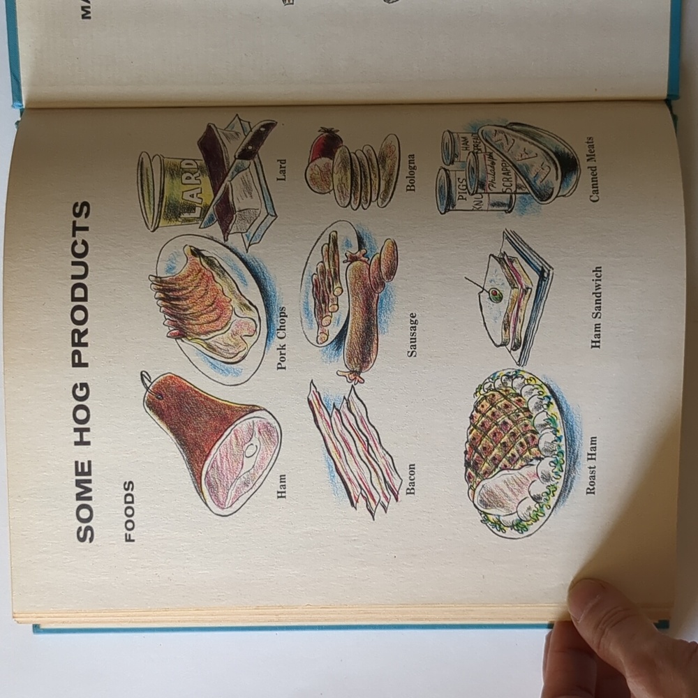A Pig for Tom - 1963 children's book - Picture 13 of 14